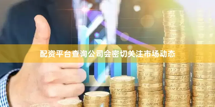 配资平台查询公司会密切关注市场动态