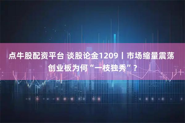 点牛股配资平台 谈股论金1209丨市场缩量震荡 创业板为何“一枝独秀”?